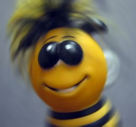Hi I'm Joebee