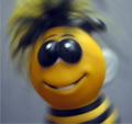 Joebee